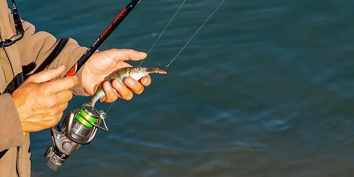 Corse Entre Et Montagne 公寓 Lavatoggio