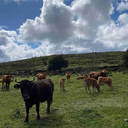 Corse Entre Et Montagne Lavatoggio