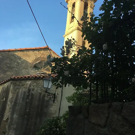 Corse Entre Et Montagne *