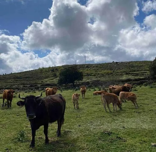 Corse Entre Et Montagne Lavatoggio