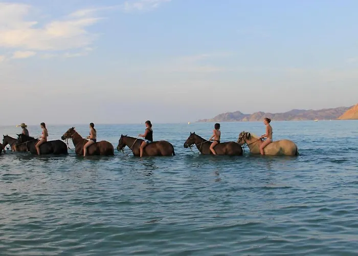 Daire Corse Entre Et Montagne